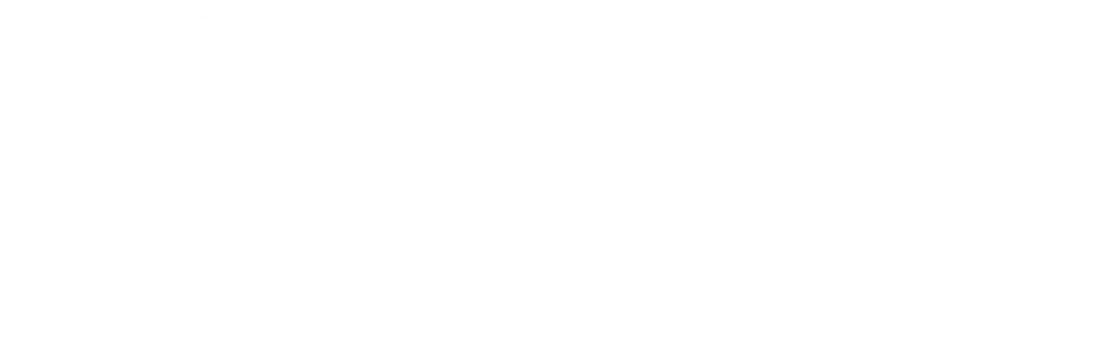 Bazaar Bandhu